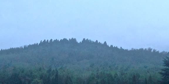 Qin Shu Huangdis grav